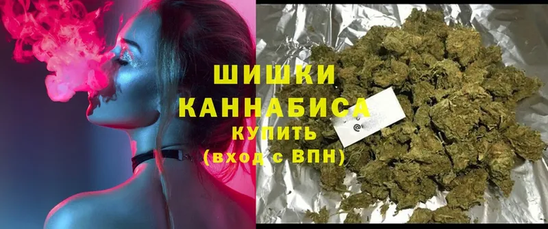 Бошки марихуана Amnesia  Барыш 